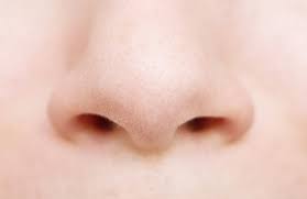 蒜頭鼻／鼻頭大有得救嗎？了解蒜頭鼻定義，醫美改善方法大公開！